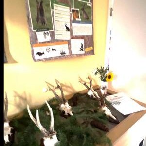 Miniaturausstellung