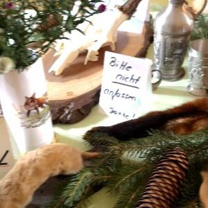 Ausstellungen Saaltor